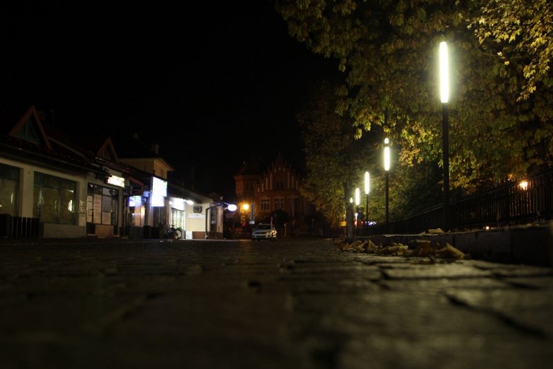 IMG_8654 (1024x683).jpg